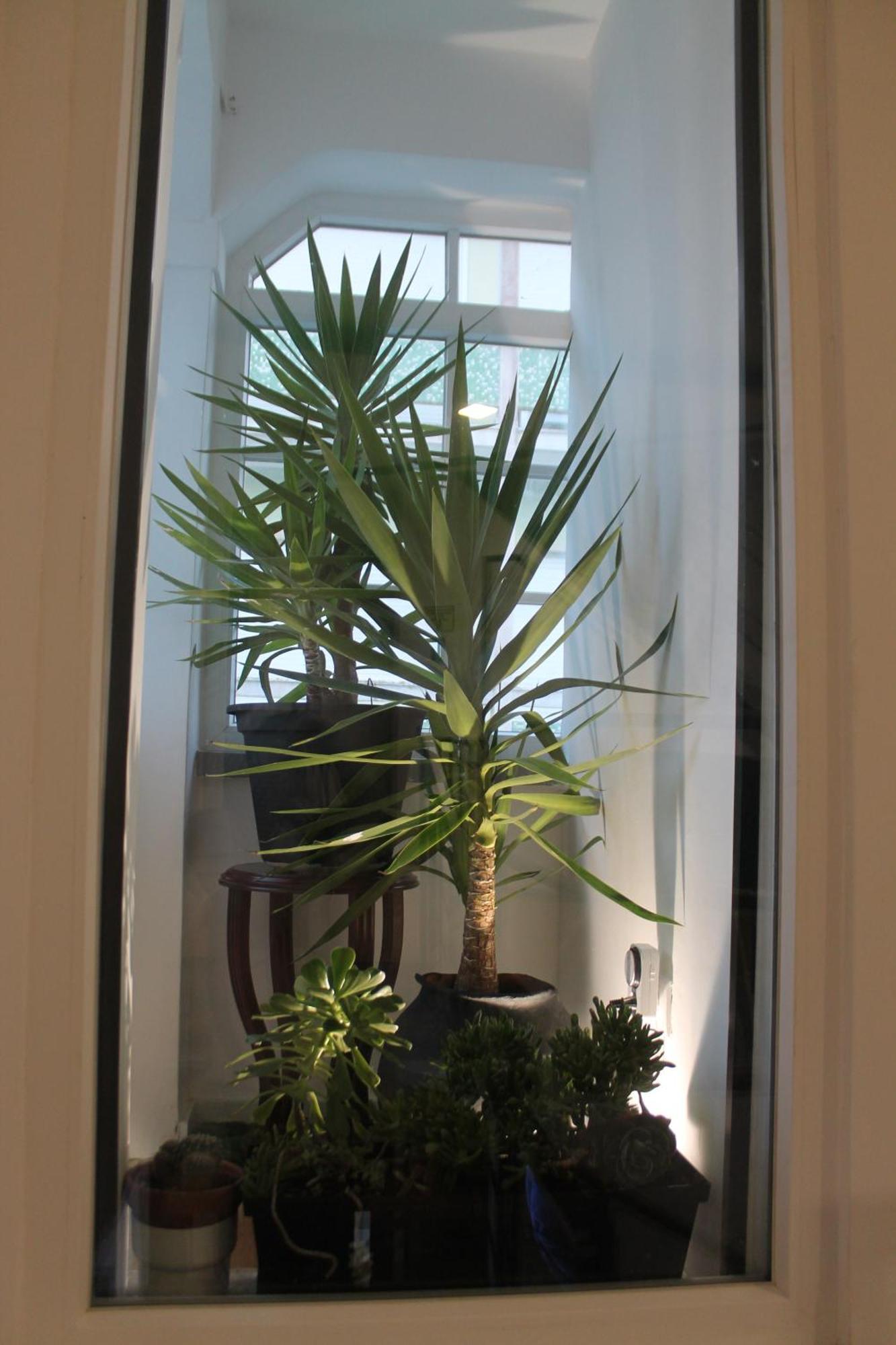 Real Guest House Costa da Caparica Exterior foto